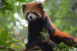 Hangzhou Zoo