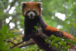 Hangzhou Zoo