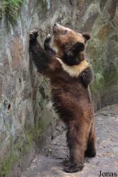Hangzhou Zoo