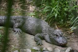 Hangzhou Zoo