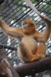 Hangzhou Zoo