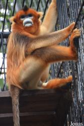 Hangzhou Zoo