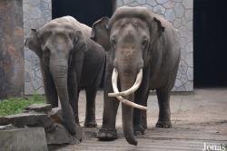 Hangzhou Zoo