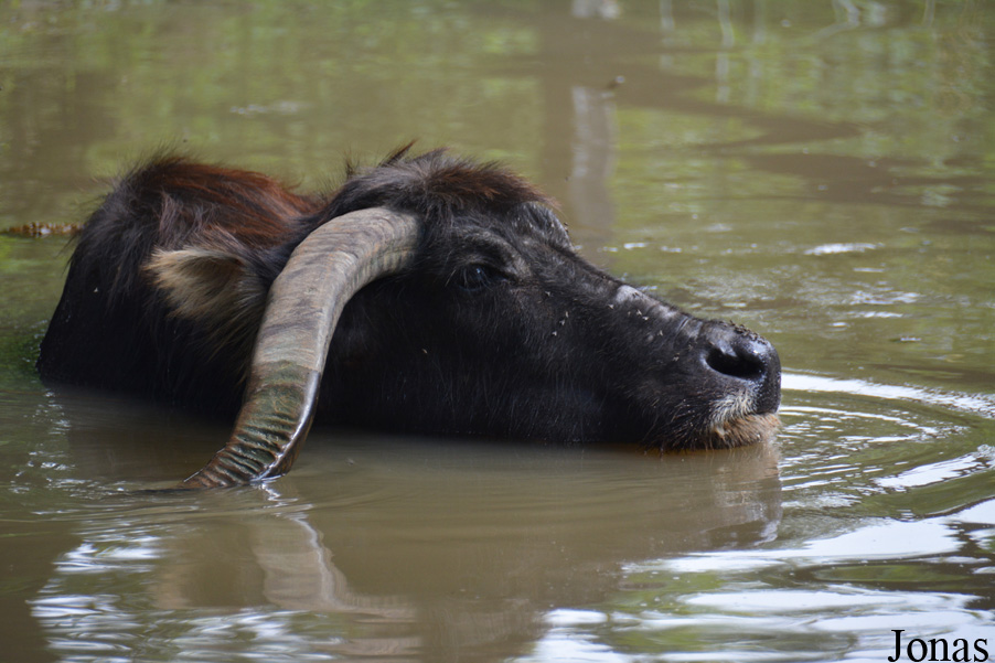 Hsinchu Zoo