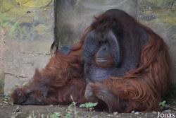 Hsinchu Zoo