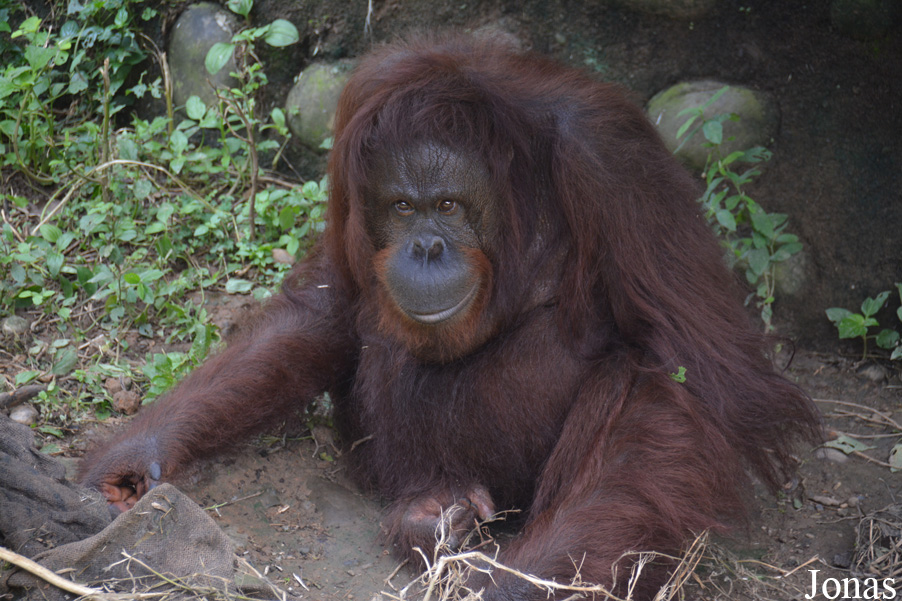 Hsinchu Zoo