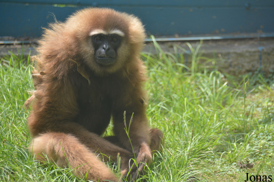 Hsinchu Zoo
