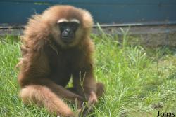 Hsinchu Zoo