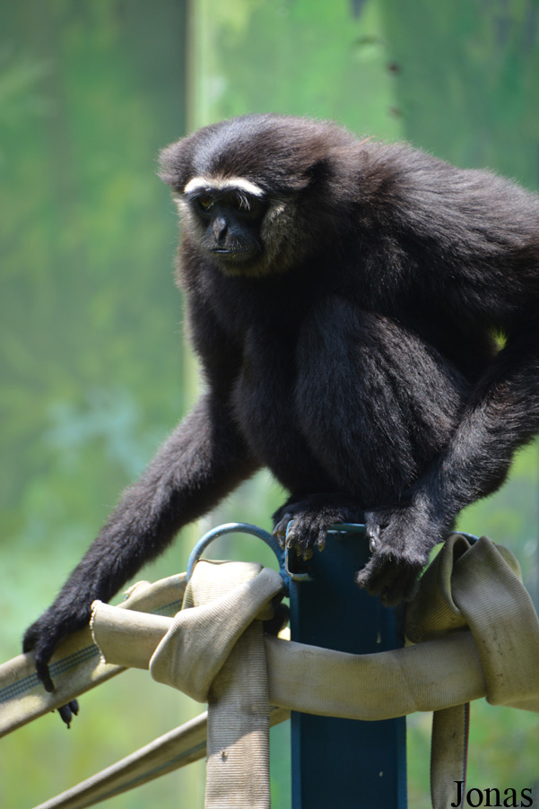 Hsinchu Zoo