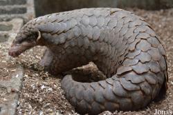 Taipei Zoo