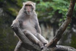 Taipei Zoo
