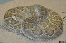 California Living Museum (CALM)