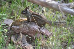 Pinnacles National Park