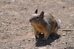 Pinnacles National Park