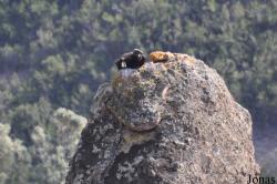 Pinnacles National Park