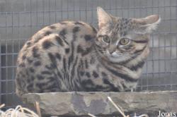 Fresno Chaffee Zoo