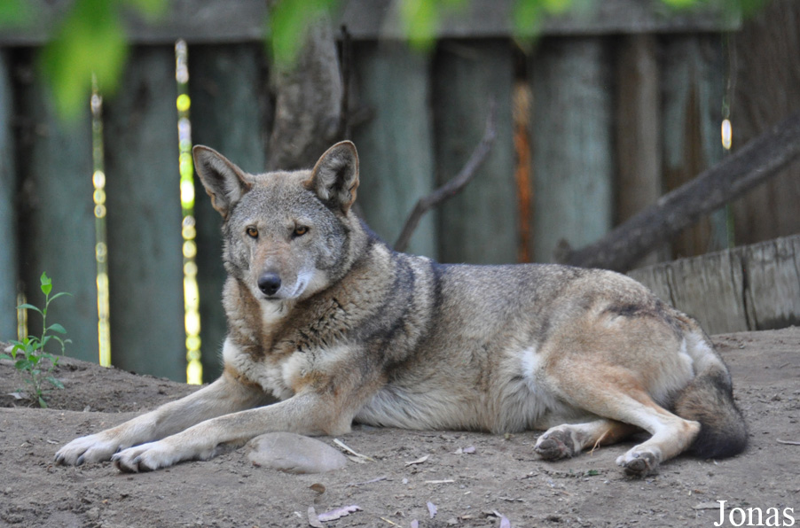 Fresno Chaffee Zoo