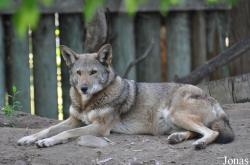 Fresno Chaffee Zoo