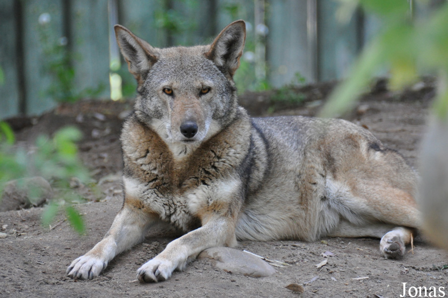 Fresno Chaffee Zoo