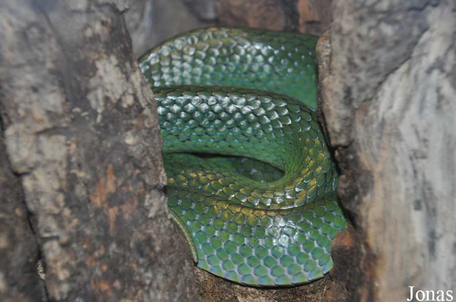 Fresno Chaffee Zoo