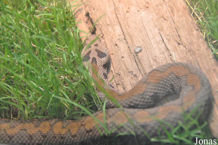 Fresno Chaffee Zoo