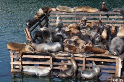 Monterey Bay