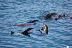 Monterey Bay
