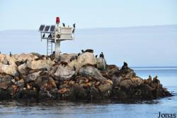 Monterey Bay