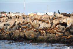 Monterey Bay