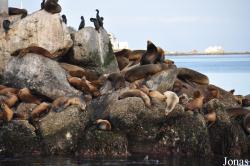 Monterey Bay