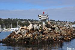 Monterey Bay