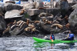 Monterey Bay