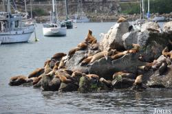 Monterey Bay