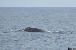 Monterey Bay