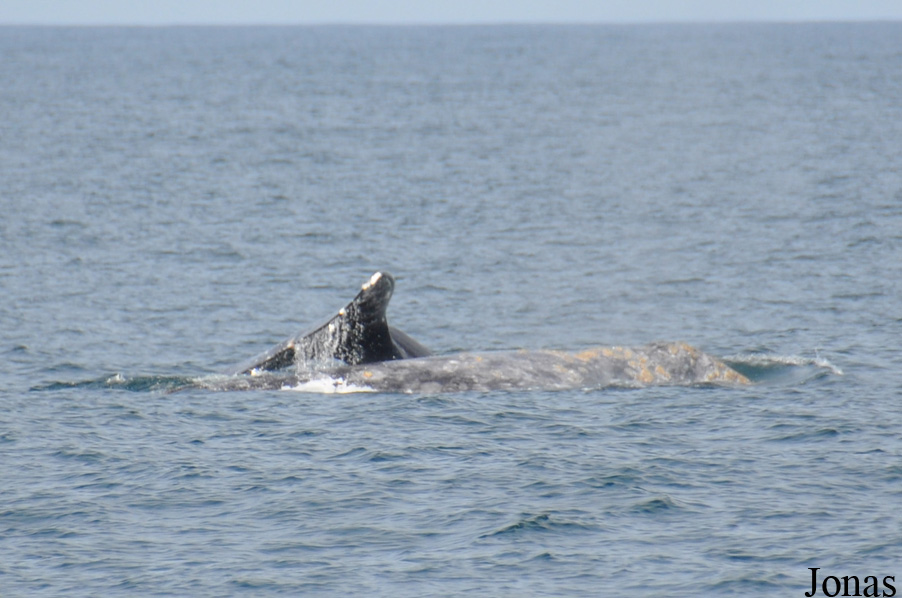 Monterey Bay