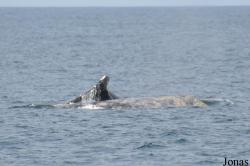 Monterey Bay