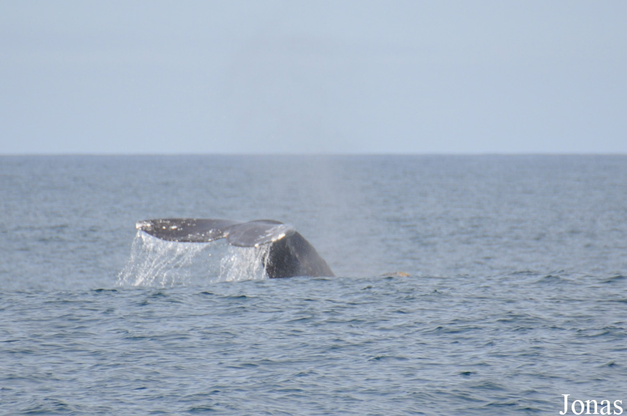 Monterey Bay