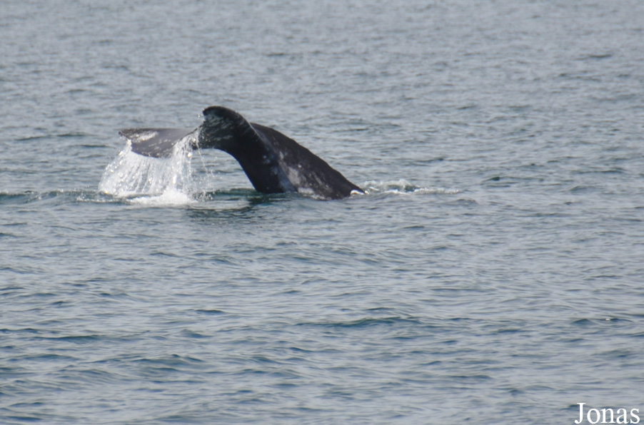 Monterey Bay