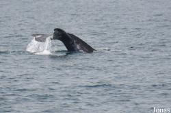 Monterey Bay