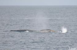Monterey Bay