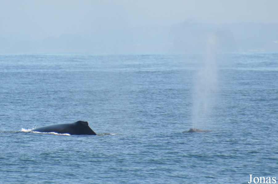 Monterey Bay