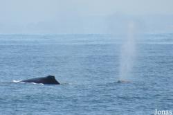 Monterey Bay