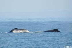 Monterey Bay