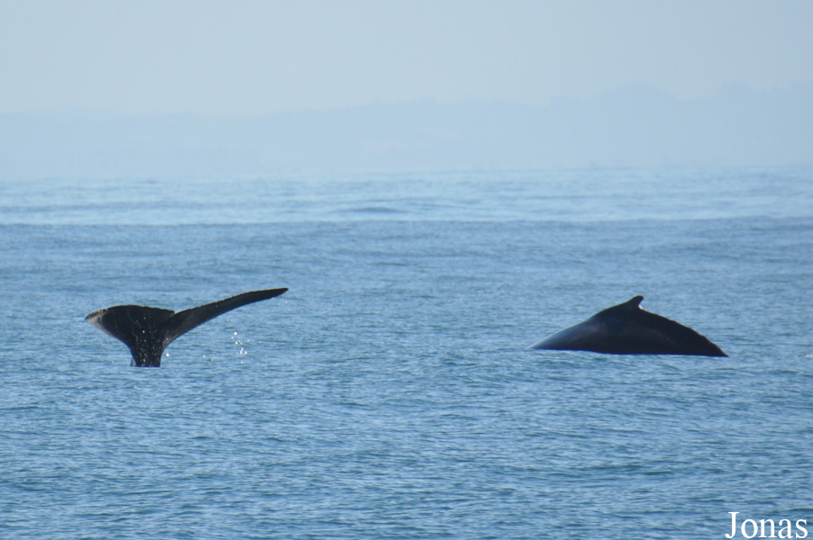 Monterey Bay