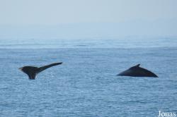 Monterey Bay