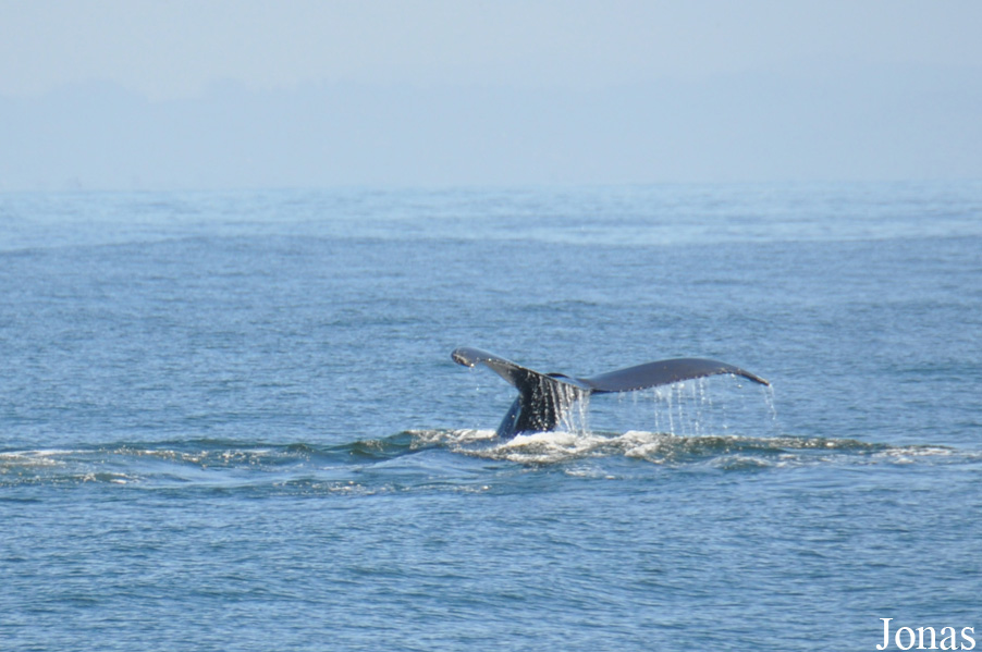 Monterey Bay