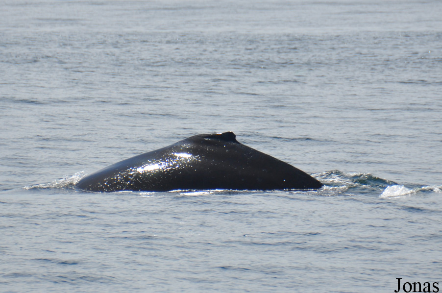 Monterey Bay