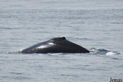 Monterey Bay