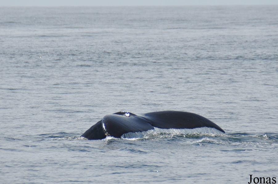 Monterey Bay