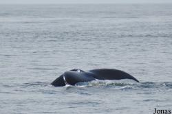 Monterey Bay